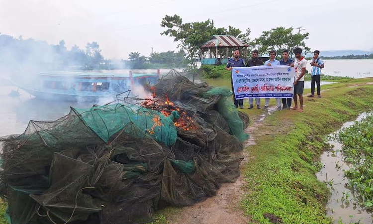 নেত্রকোণায় ৪ লাখ টাকা মূল্যের ‘চায়না দুয়ারী’ জাল জব্দ 