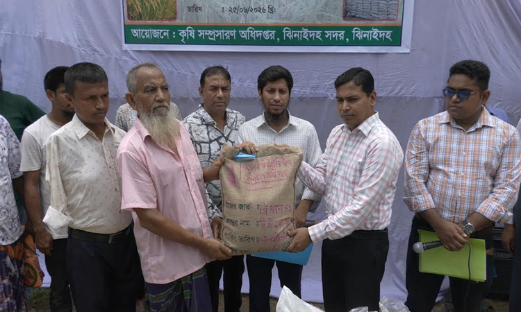 ঝিনাইদহে কৃষকদের মাঝে বিনামূল্যে বীজ ও সার বিতরণ