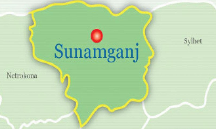 সুনামগঞ্জে বীজ ও সার বিতরণ