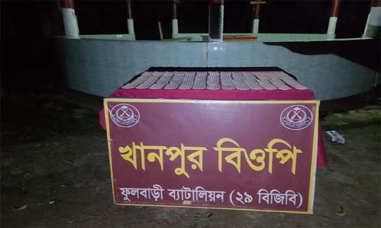 দিনাজপুর সীমান্তে বিজিবির অভিযানে ৩ হাজার পিস নেশা জাতীয় ট্যাবলেট উদ্ধার   
