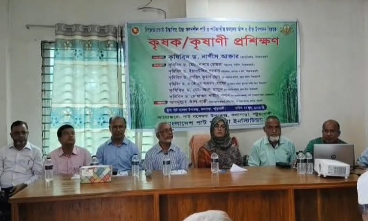 পটুয়াখালীতে পাট উৎপাদন বিষয়ে কৃষক প্রশিক্ষণ অনুষ্ঠিত