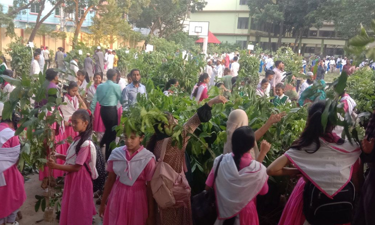 একটি শিশু, একটি বৃক্ষ: কোটি গাছ লাগিয়ে সবুজ ভবিষ্যৎ গড়ার উদ্যোগ