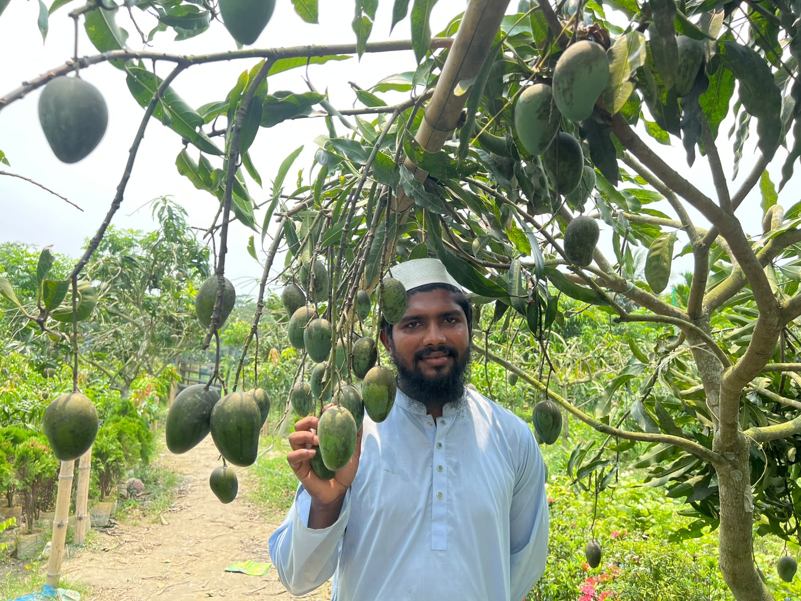 কৃষিকে পেশা করে সফল উদ্যোক্তা বাউফলের মেহেদী হাসান