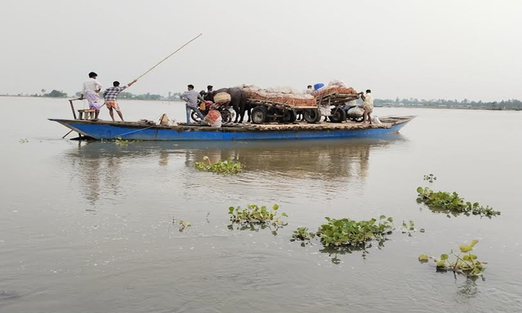 তিস্তার পানি বাড়াতে নিম্নাঞ্চল প্লাবিত; ৮হাজার পরিবার পানিবন্দী