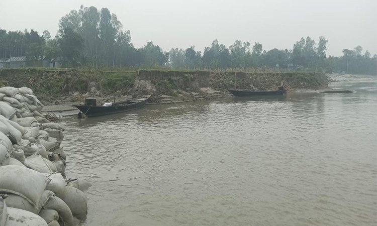 পাঁচ নদীর ভাঙনে কুড়িগ্রামবাসীর বিপর্যয় ঠেকাতে প্রয়োজন জরুরি বরাদ্দ 