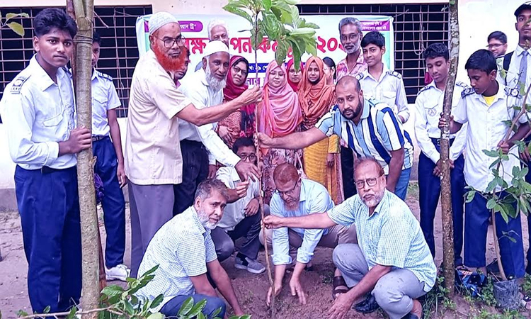 সবুজ পরিবেশ গড়ার অঙ্গীকার নিয়ে বৃক্ষরোপণের আহ্বান
