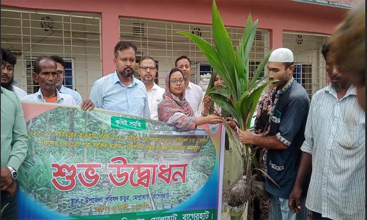 বাগেরহাটে কৃষি প্রণোদনা কর্মসূচির উদ্বোধন