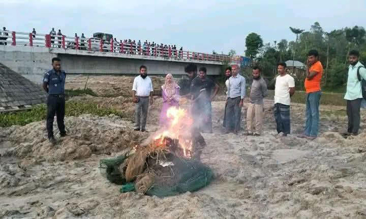 দিনাজপুরে কারেন্ট জাল জব্দ করে ধ্বংস করেছে প্রশাসন
