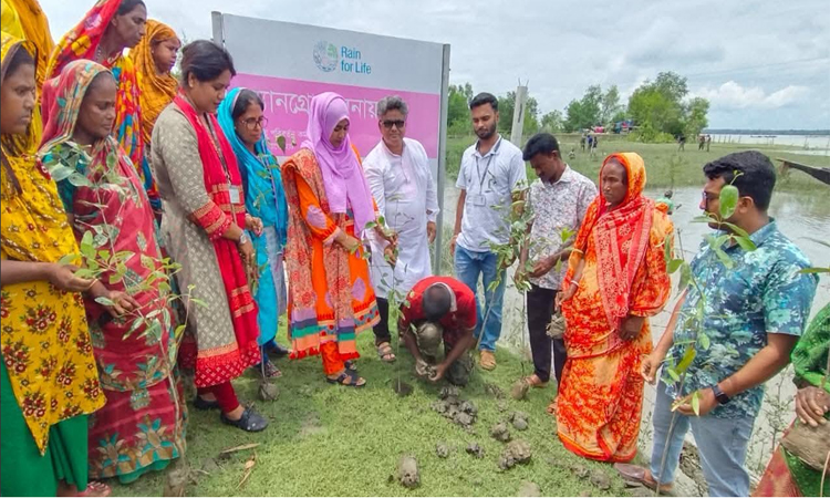 মোংলায় বিশেষ ম্যানগ্রোভ বৃক্ষরোপণ কর্মসূচি শুরু