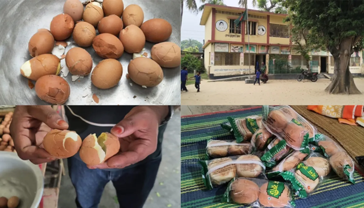 গার্ডিয়ান কমিটির সতর্কতায় বিতরণের আগেই পচা ডিম শনাক্ত, প্রতিমন্ত্রীর নির্দেশে দ্রুত ব্যবস্থা