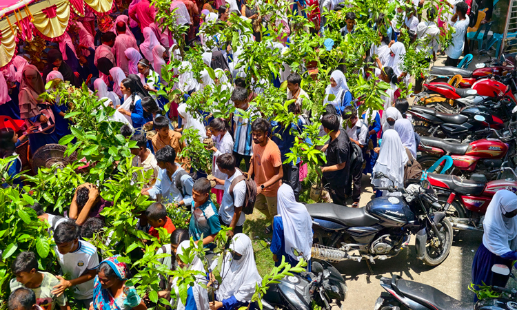 জয়পুরহাটে শিক্ষার্থীদের মাঝে গাছের চারা বিতরণ করলেন প্রতিমন্ত্রী আব্দুল বারী