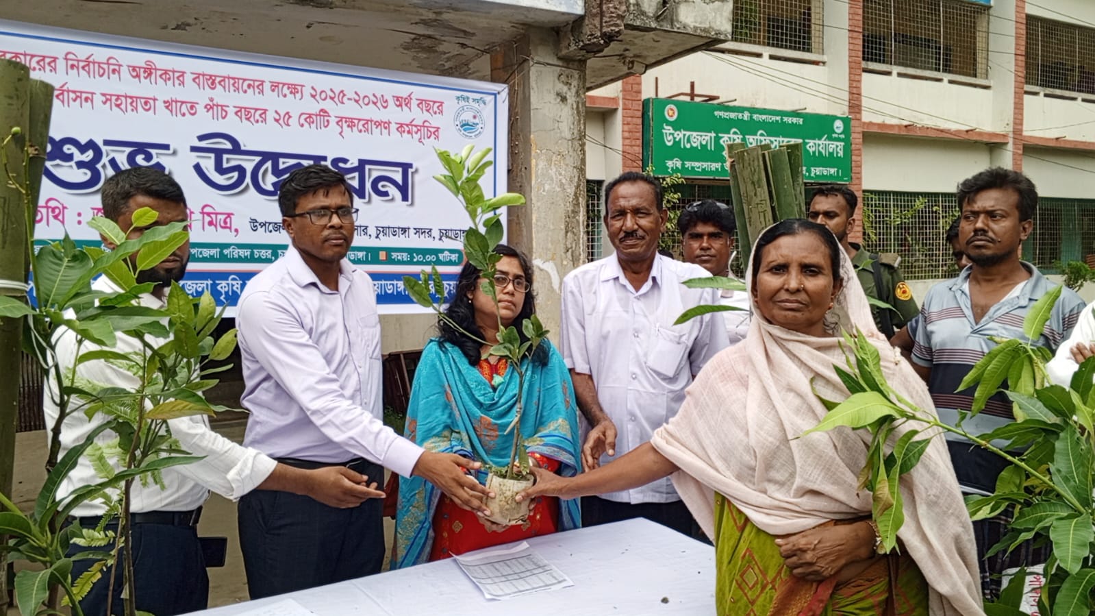 চুয়াডাঙ্গায় গাছের চারা ও সার বিতরণ