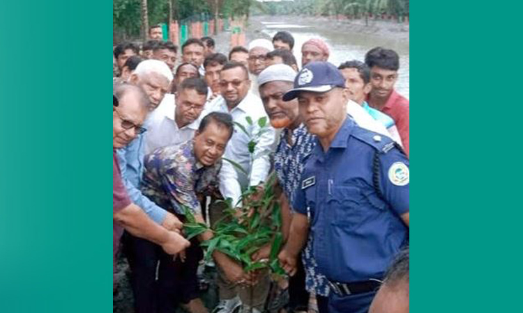 পটুয়াখালীতে স্বনির্ভর খালের দুই পাড়ে বৃক্ষরোপণ কর্মসূচির উদ্বোধন