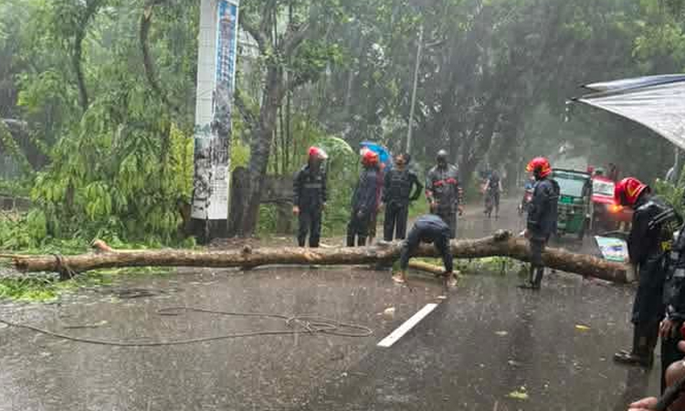 ভারী বর্ষণে বোয়ালখালীর নিম্নাঞ্চল প্লাবিত, বিপর্যস্ত জনজীবন