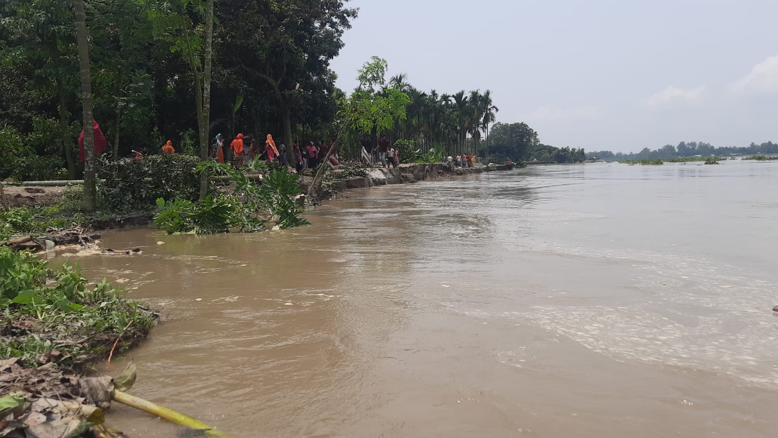 তিস্তায় পানি বৃদ্ধি, কুড়িগ্রামে চরাঞ্চল প্লাবিত