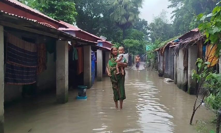মনপুরায় ১০ হাজার মানুষ পানিবন্দী; চরফ্যাশনের নিম্নাঞ্চল শঙ্কামুক্ত