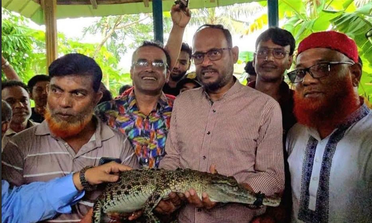 ভালুকায় কুমিরের খামার পরিদর্শনে মৎস্য ও প্রাণিসম্পদ প্রতিমন্ত্রী