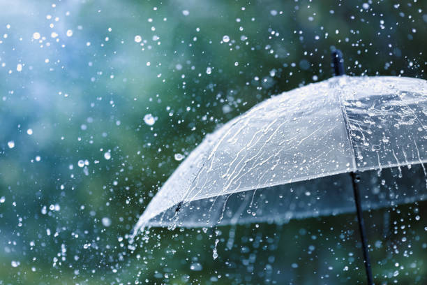 ভারী বৃষ্টিপাতের সতর্কবার্তা ৬ বিভাগে : আবহাওয়া অধিদপ্তর