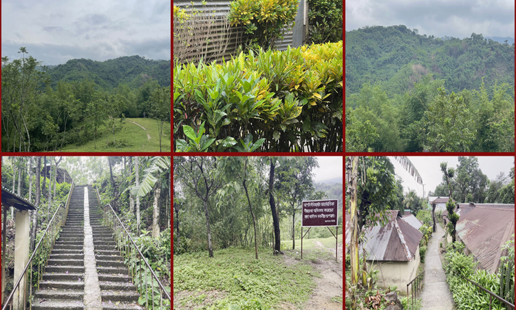প্রাকৃতিক সৌন্দর্য্যে ঘেষাঁ গ্রাম সুনামগঞ্জের ‘ঝুঁমগাঁও’