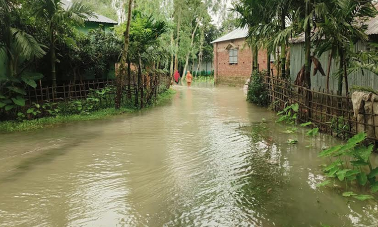 তিস্তার পানি বিপৎসীমার ওপরে, চরাঞ্চলে ৬ হাজার মানুষ পানিবন্দী