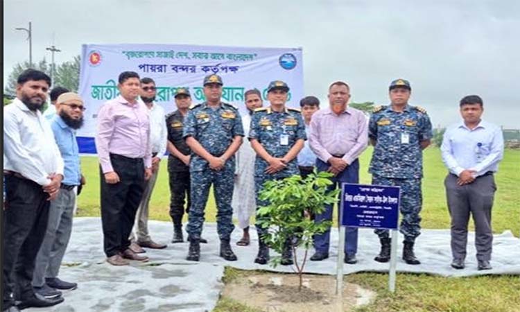 পায়রা বন্দরে ৩০ হাজার বৃক্ষরোপণ কর্মসূচির উদ্বোধন