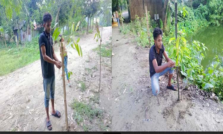 রংপুরে ‘এসএসএস’-এর উদ্যোগে ১২শ’ গাছের চারা বিতরণ 