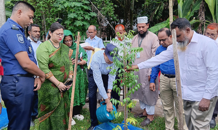 ঝালকাঠিতে প্রাথমিক শিক্ষা বিভাগের বৃক্ষরোপণ উদ্বোধন