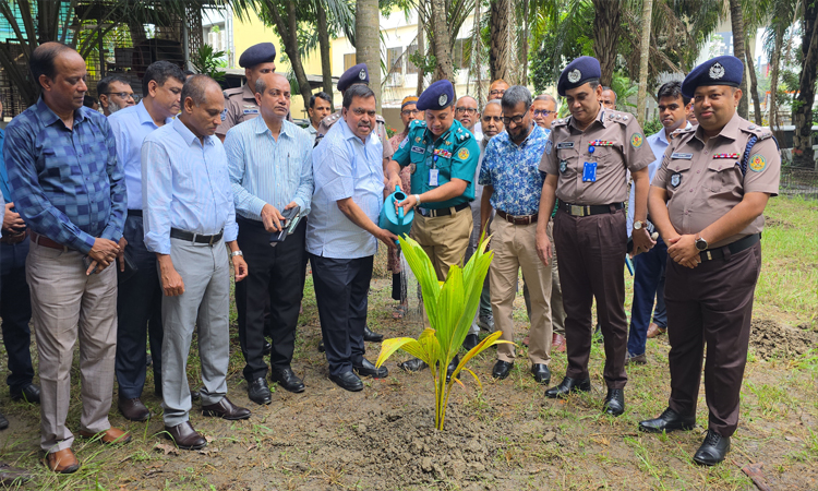 খুলনায় ১ লাখ ২০ হাজার বৃক্ষরোপণ করা হবে : কেডিএ চেয়ারম্যান