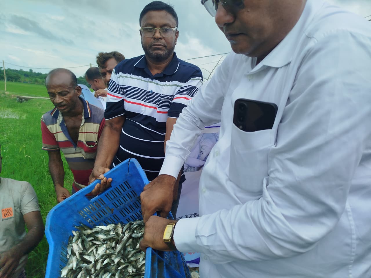 নড়াইলে পাতিয়ার বিলে দেশীয় প্রজাতির মাছের পোনা অবমুক্ত