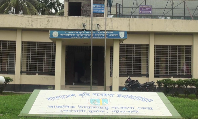 বারি’র গবেষণায় বদলাচ্ছে উপকূলের কৃষির মানচিত্র, তৈরি হচ্ছে নতুন সম্ভাবনা