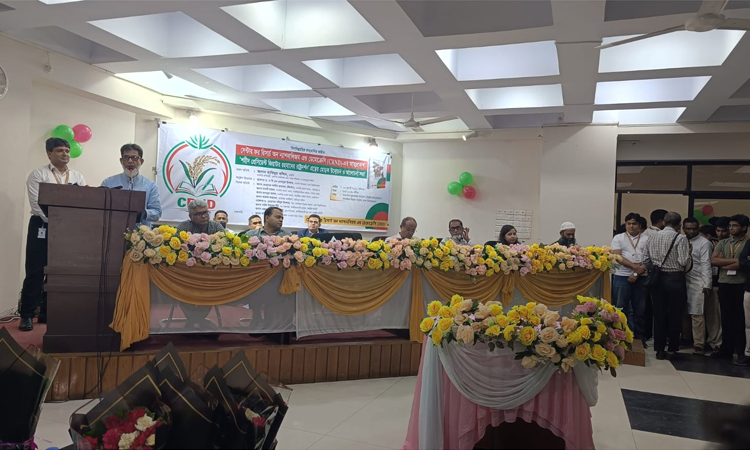 ক্ষুধামুক্ত সমাজ গড়তে শহীদ জিয়ার দূরদর্শী রাষ্ট্রচিন্তা আজও গুরুত্বপূর্ণ: সড়ক প্রতিমন্ত্রী