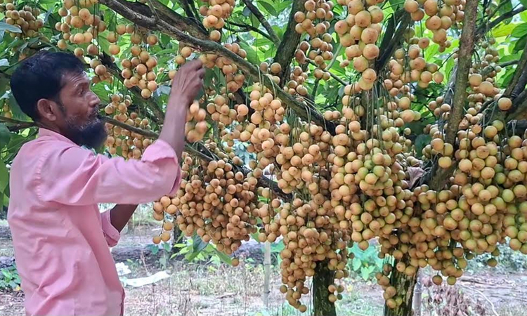 ছবি: বাসস