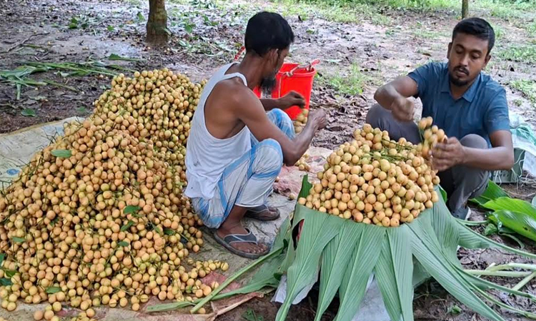 ছবি: বাসস