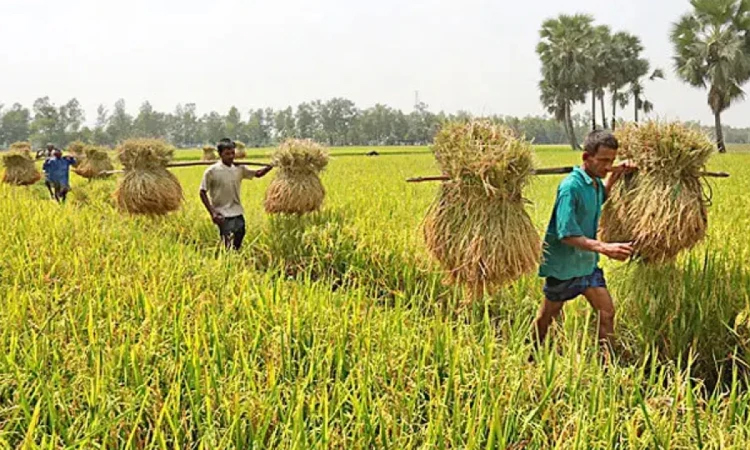 খুলনা বিভাগে কৃষকের প্রায় ৪২ কোটি টাকা কৃষিঋণ মওকুফ 