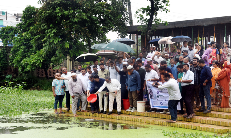খুবির এফএমআরটি ডিসিপ্লিনের হ্যাচারিতে উৎপাদিত দেশীয় মাছের পোনা অবমুক্ত