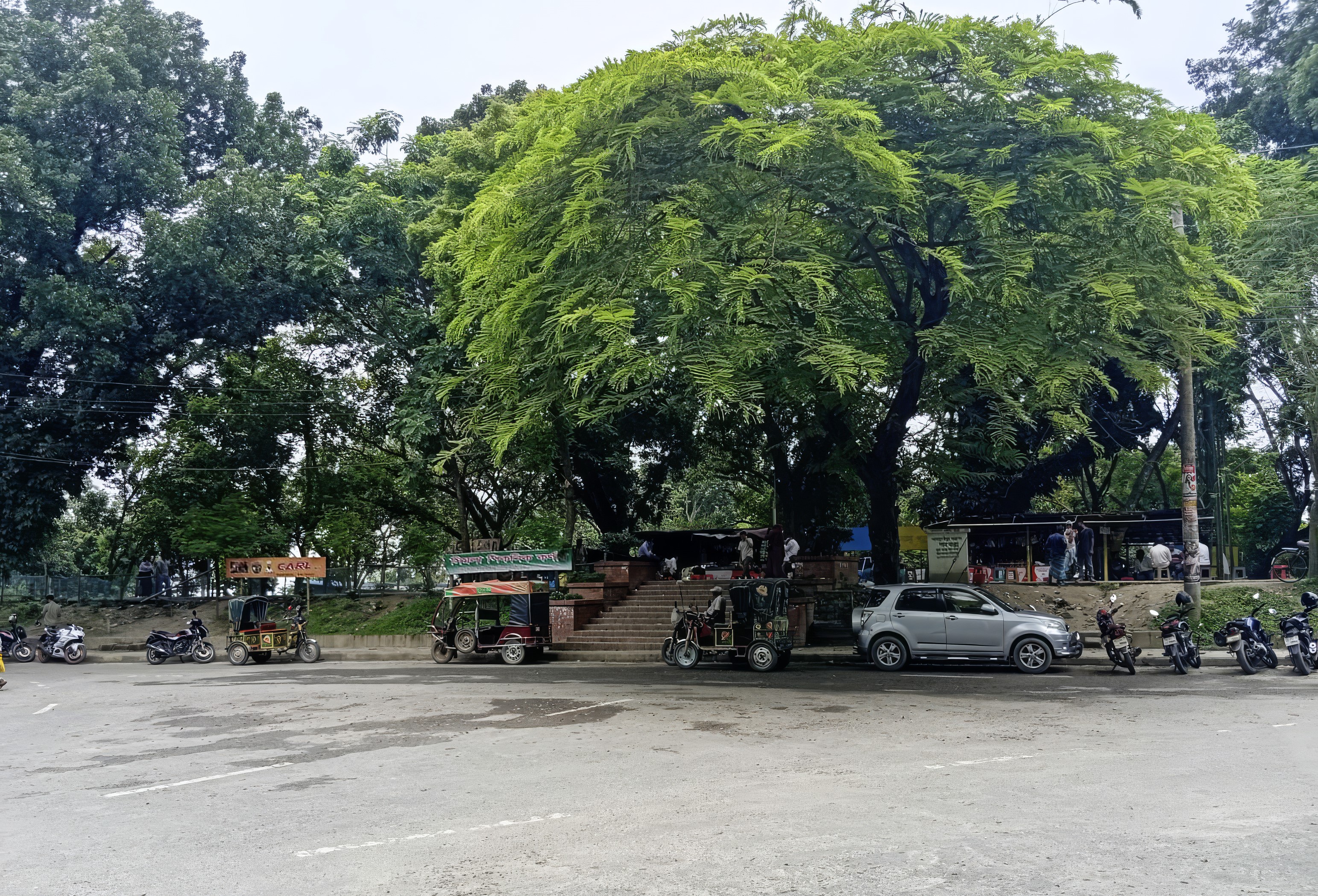 রাজশাহীর শিমলা পার্ককে বিশেষ জীববৈচিত্র্য সংরক্ষণ এলাকা ঘোষণা