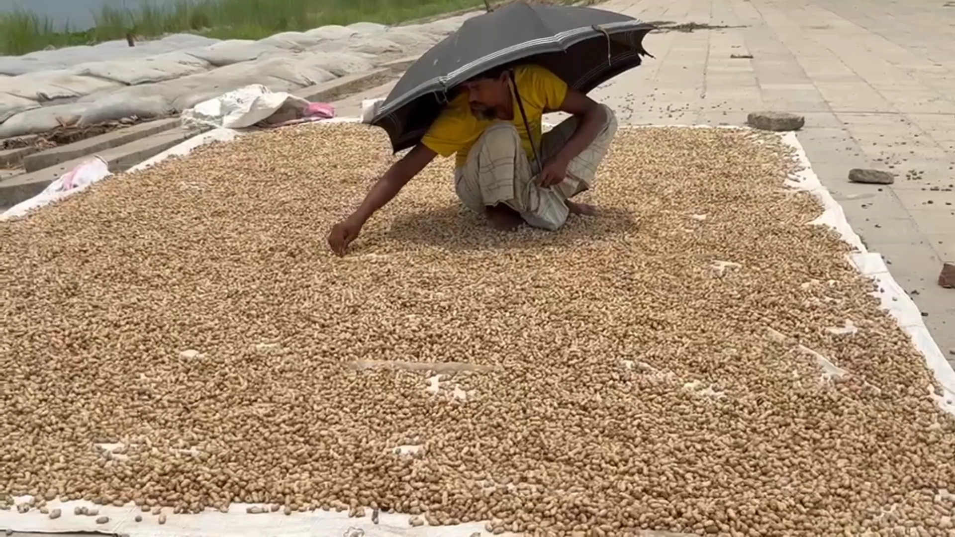 ছবি : বাসস