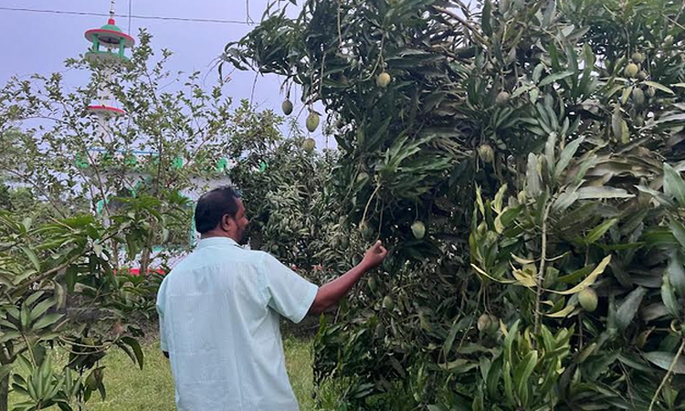 ছবি: বাসস