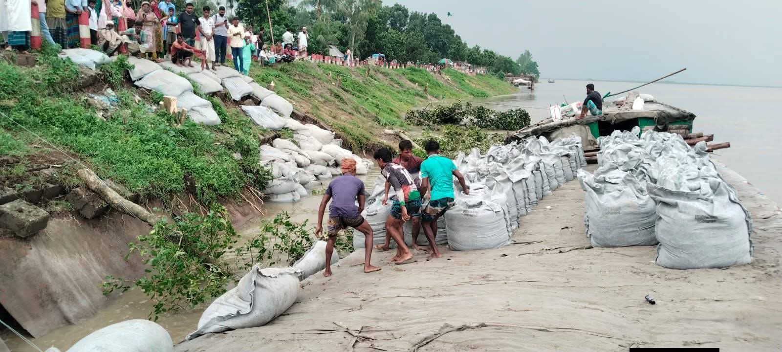 যমুনার ভাঙনে তারাকান্দি-ভূঞাপুর বাঁধে ধস, জিওব্যাগ ডাম্পিং পাউবোর