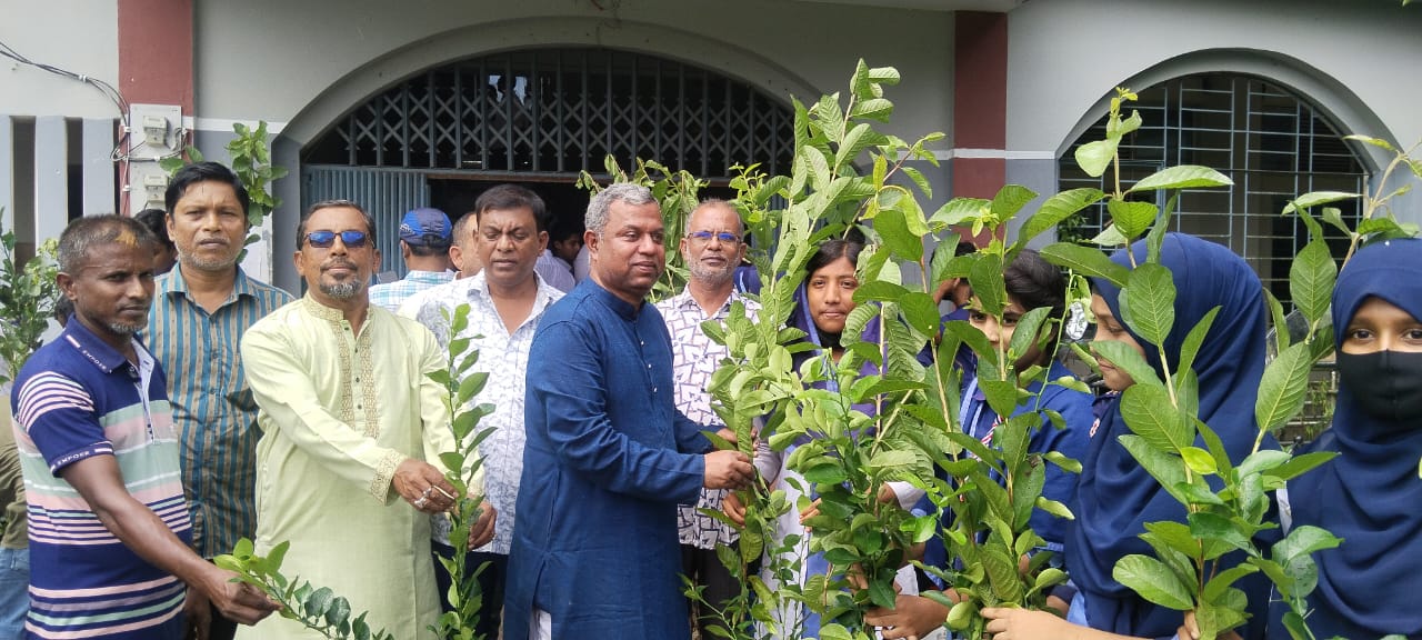 পটুয়াখালীতে বিএনপির উদ্যোগে বৃক্ষরোপণ কর্মসূচির অনুষ্ঠিত
