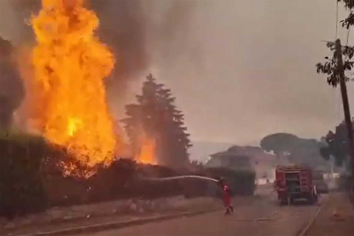 স্পেনে দাবানল : মাদ্রিদ অঞ্চলে জাতীয় জরুরি অবস্থা ঘোষণা