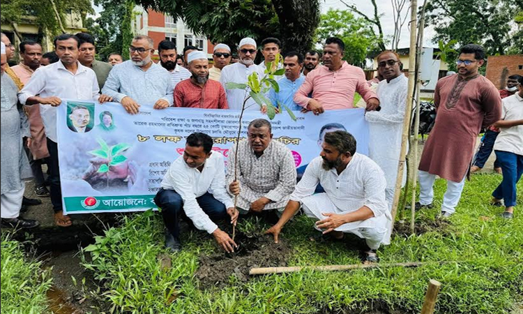 সুনামগঞ্জে জেলা কৃষক দলের বৃক্ষরোপণ কর্মসূচি