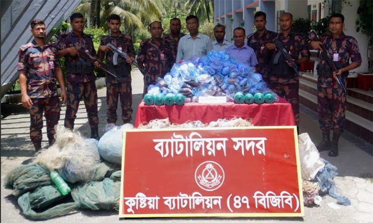 কুষ্টিয়ায় বিজিবি’র অভিযানে অবৈধ কারেন্ট জাল ও মাদক জব্দ