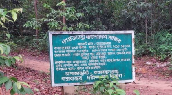 রামুতে বনকর্মীদের ওপর হামলা, ১০৭ জনের নামে মামলা
