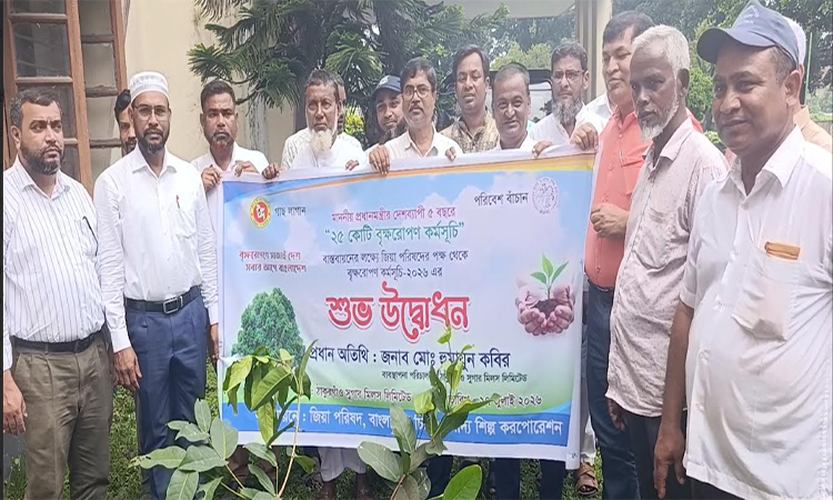 ঠাকুরগাঁওয়ে জিয়া পরিষদের বৃক্ষরোপণ 