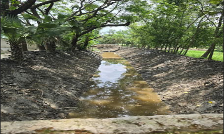 খাল পুনঃখনন শেষে উদ্বৃত্ত টাকা ফেরত দিলেন দাগনভূঞার ইউএনও