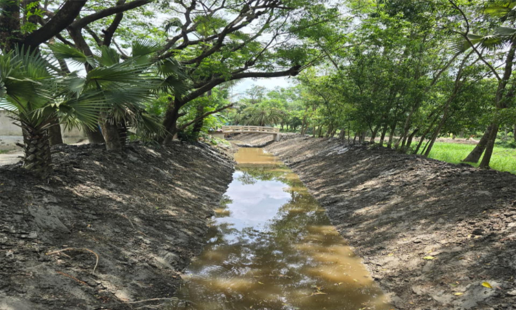 খাল পুনঃখনন শেষে উদ্বৃত্ত টাকা ফেরত দিলেন দাগনভূঞার ইউএনও