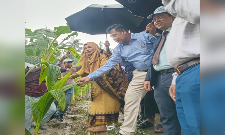 বরগুনায় পূবালী ব্যাংকের ঊদ্যোগে বৃক্ষরোপণ কর্মসূচির উদ্বোধন