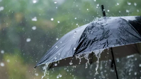 দেশের বিভিন্ন স্থানে বৃষ্টির সম্ভাবনা, বাড়তে পারে দিনের তাপমাত্রা 