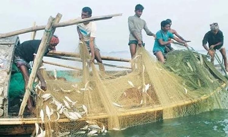 মিঠা পানির মাছ উৎপাদনে দেশের প্রধান অঞ্চল এখন রাজশাহী